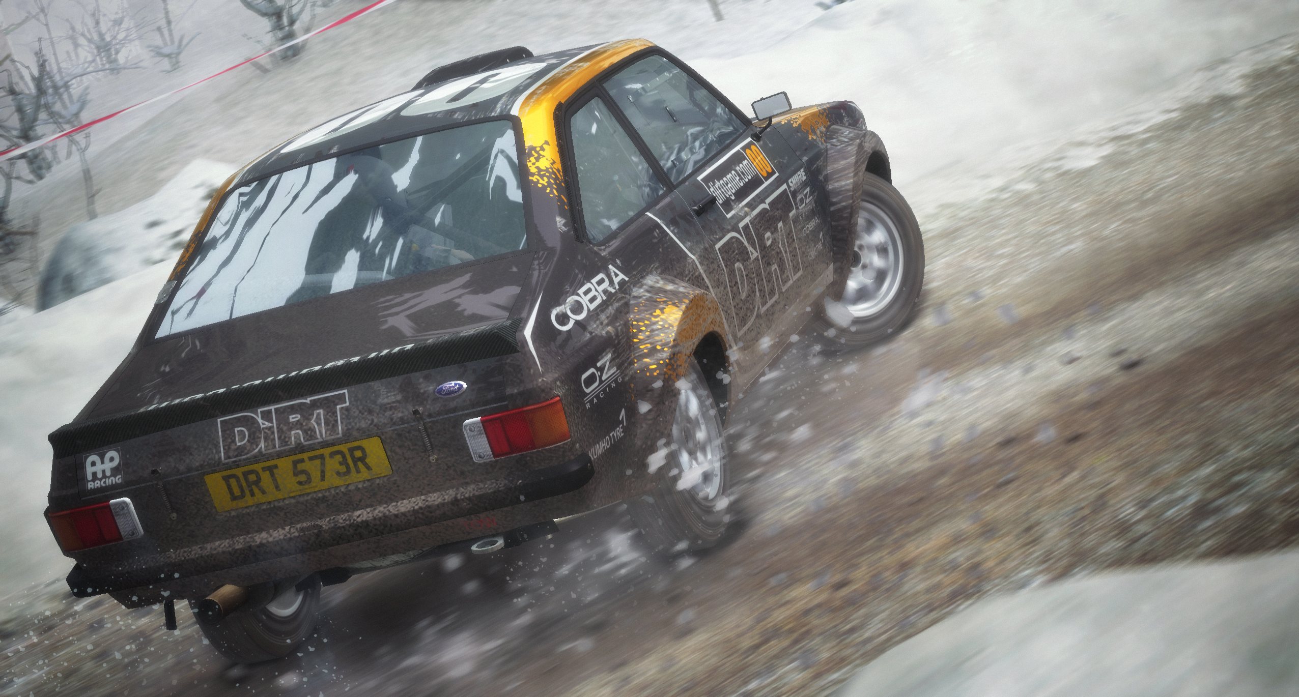 DiRT Rally - Imagen 18